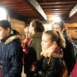 cicmany17