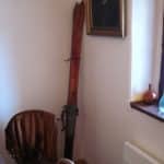 cicmany44 1