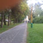dninadeje210