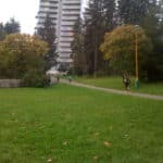 dninadeje212