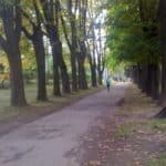 dninadeje213