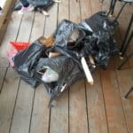enviropopoludnie21