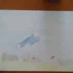 erasmus15