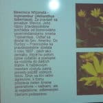 invazivne5