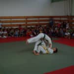 judo11