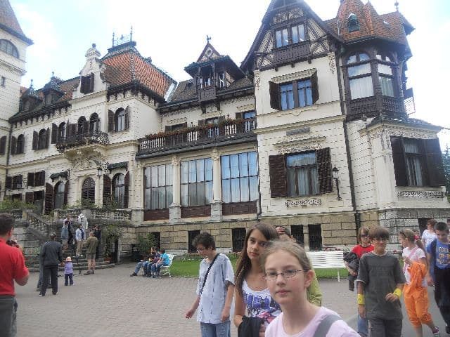 lesna1 1