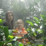 lesna3 1