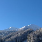 lv2 1
