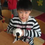 minizoo1