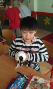 minizoo1