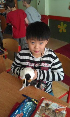 minizoo1