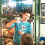 minizoo12