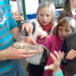 minizoo14