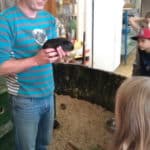 minizoo15