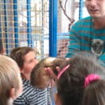 minizoo18
