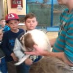 minizoo21