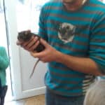 minizoo22