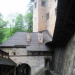 orava35 1