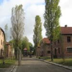 osviencim13
