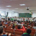 pasov6