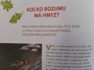 photos1 2