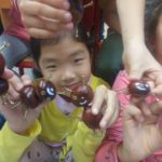 photos2 1