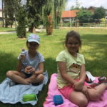 piknik1 1