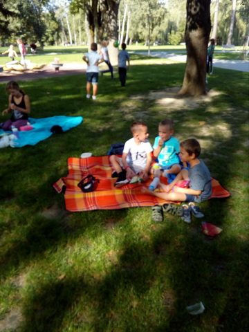piknik1