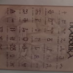 radola229