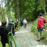 strecno11 2