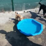 utulok24 1