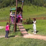 vadicov9
