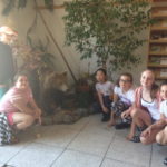 varin23