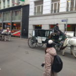 vieden13