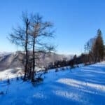 lyziarsky vycvik 1676622052426 scaled