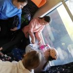 cestujeme vlakom do trencina 7 scaled