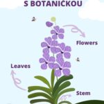 hodina biologie s botanickou 393771539 10218936640446664 7097949512697378778 n