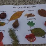 jesenne patranie po prirodninach 20231006 134551 scaled