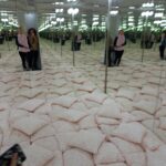 adventna bratislava viii eb 20231220 133200 scaled