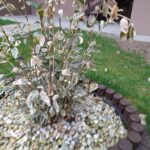 20240323 153736 - Po stopách slovenských drotárov do Dlhého Poľa