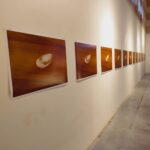 img 20240423 100025162 - Výskumné body: Archeológovia umenia