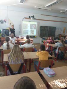 img 20240530 wa0000 - Automatický koncept